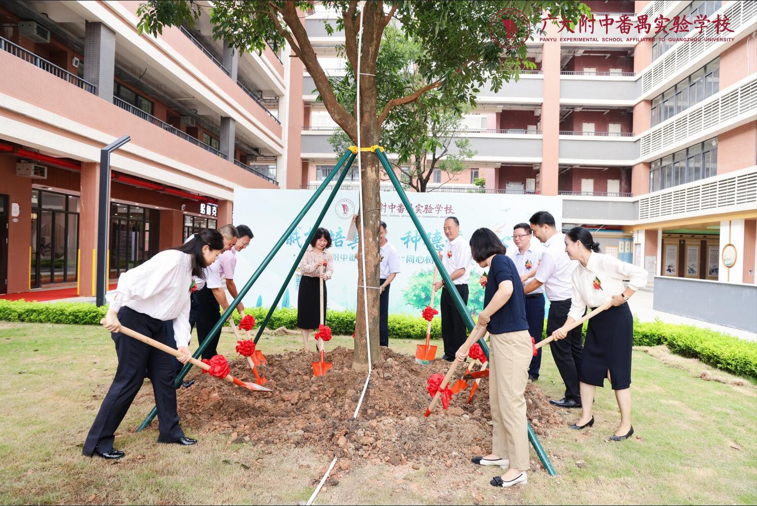 大赢家再公开三码